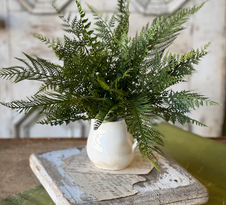 Deer Fern Bush