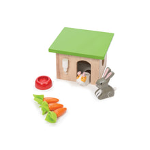 Bunny & Guinea Pet Animal Set