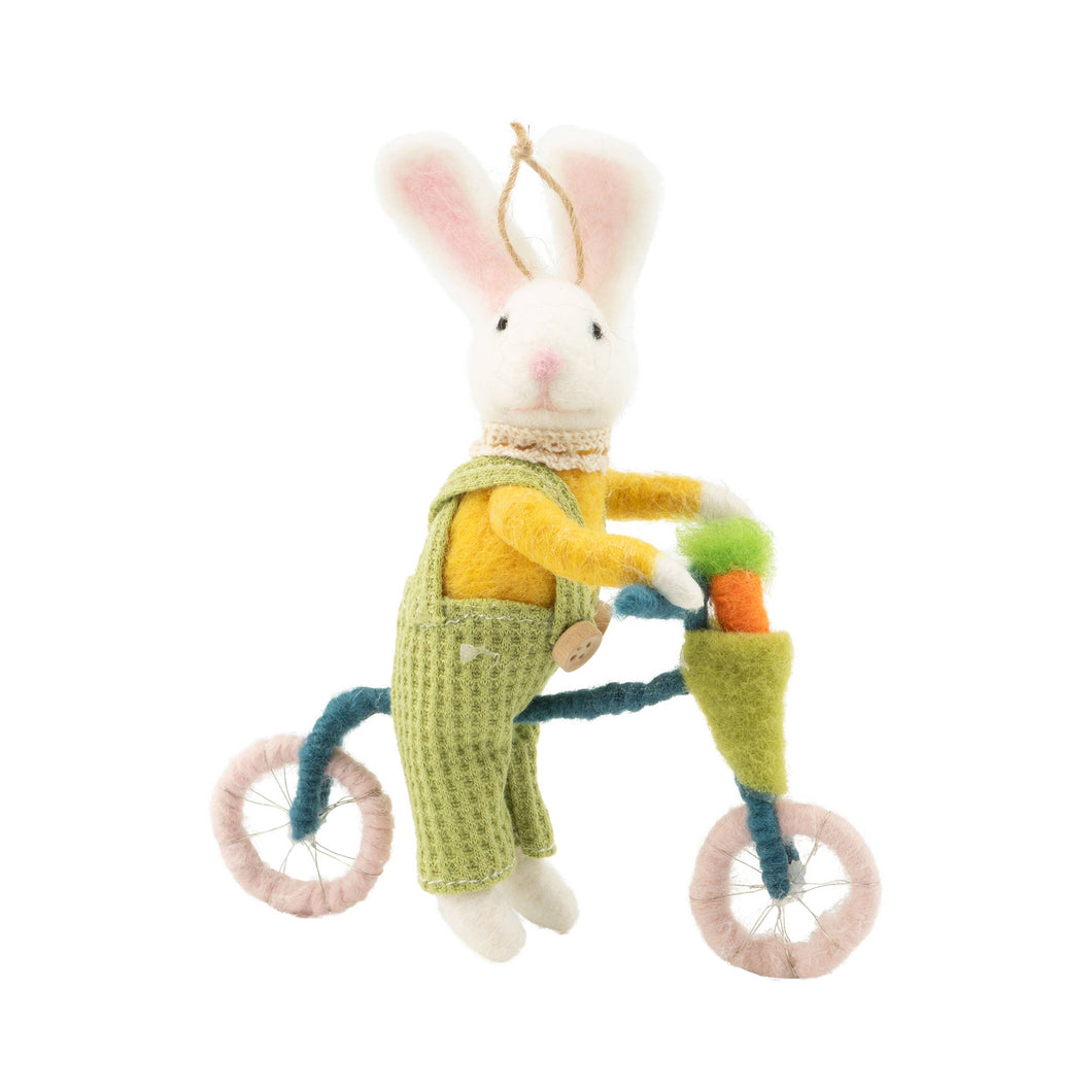 Bunny on Bike