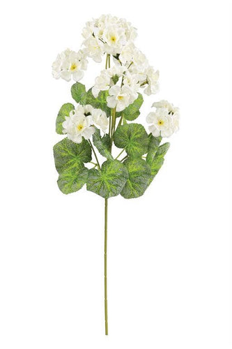 Geranium Spray 23