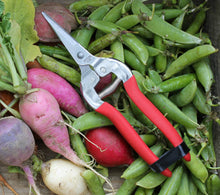Garden Shears