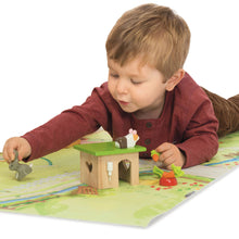 Bunny & Guinea Pet Animal Set