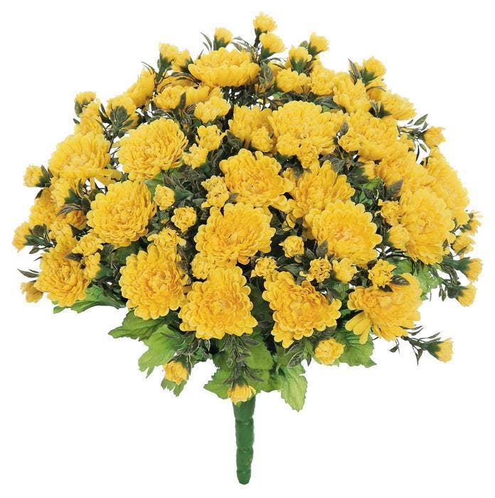 Mini Mum Bush - Yellow