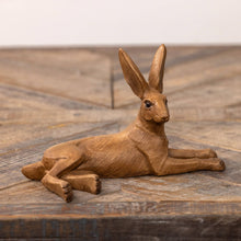 RESTING BROWN BUNNY