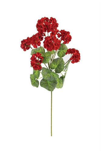 Geranium Spray 23