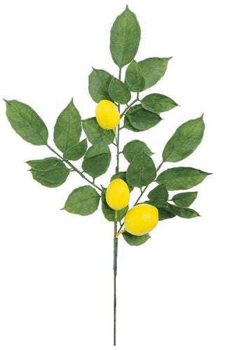 Fruiting Lemon Spray 20