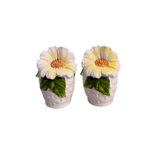 Vintage Daisy Salt & Pepper Shakers