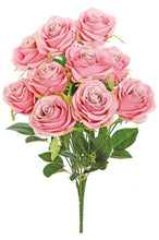 Bridal Rose Bush X9, 18", Dark Pink