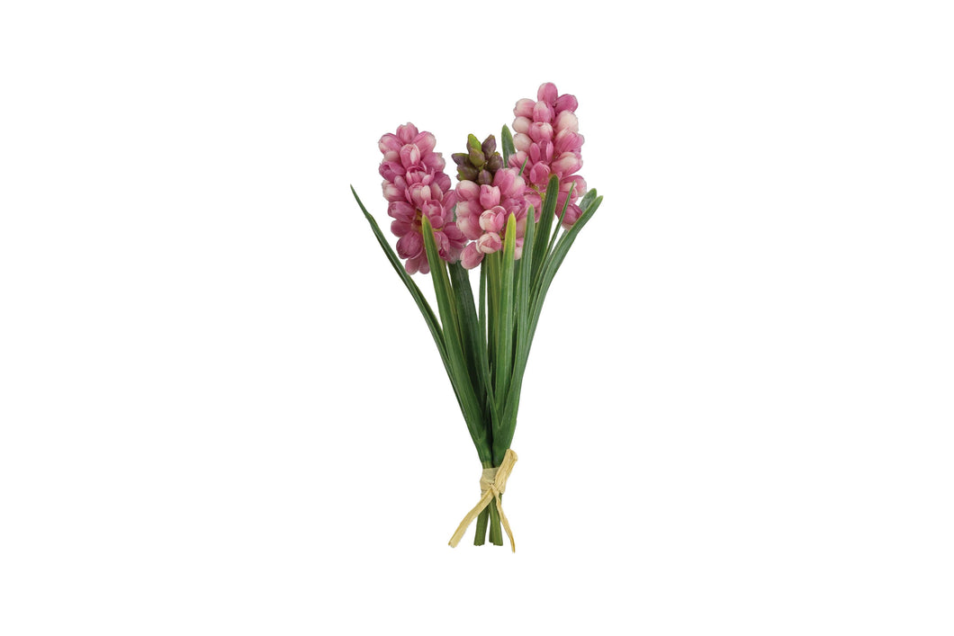 Grape Hyacinth Bundle