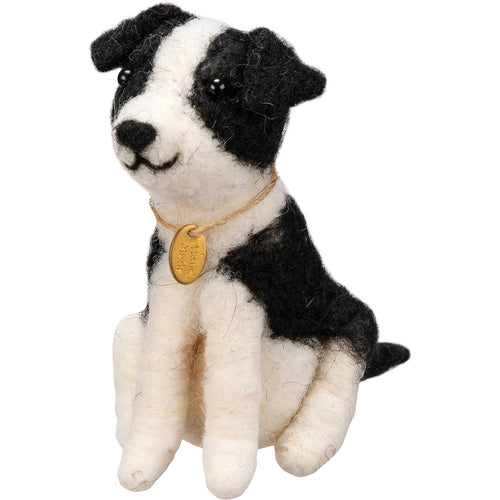 Border Collie Puppy Critter