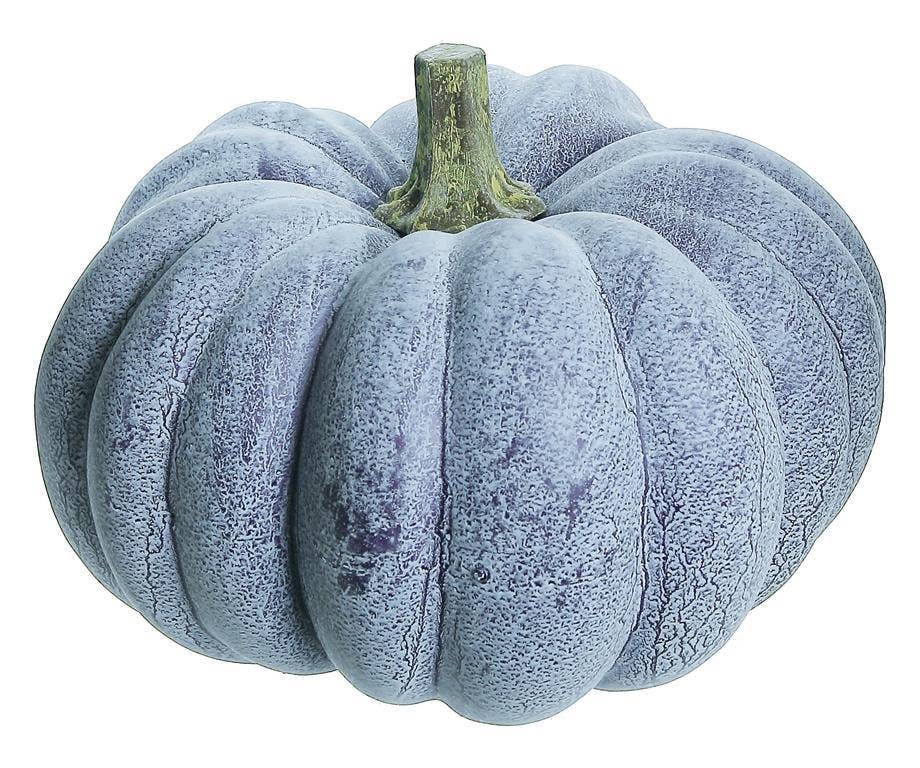 Washed Flat Pumpkin 9