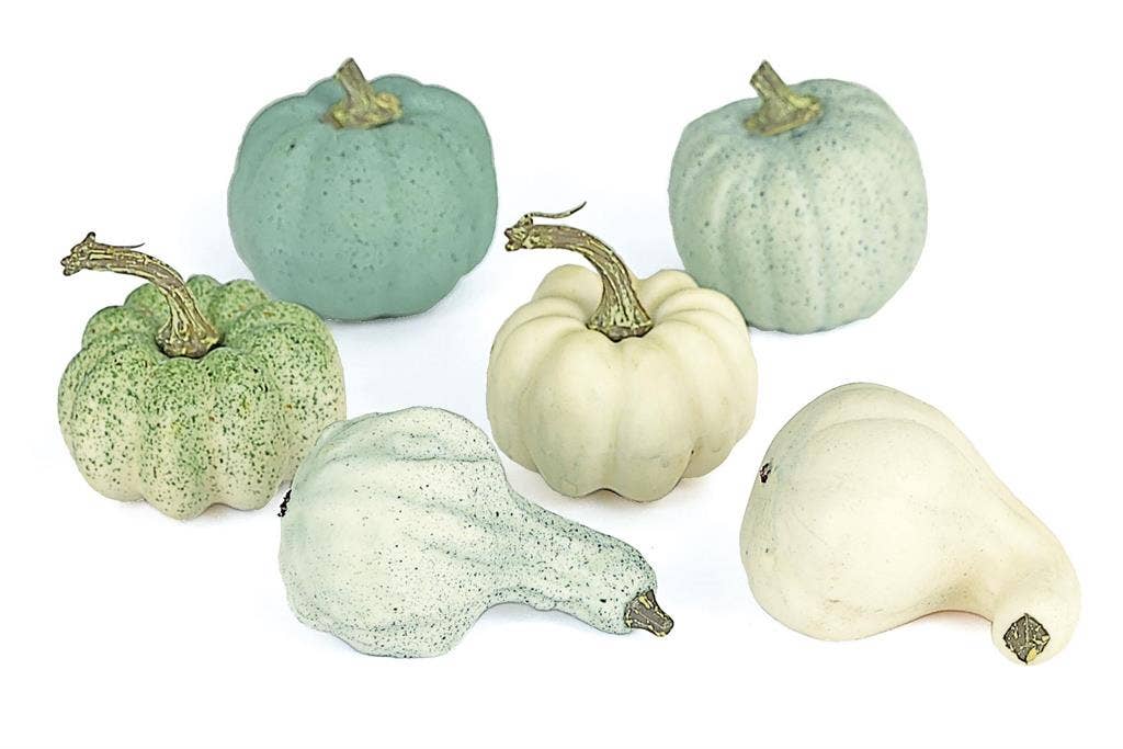 Mixed Pumpkin Gourds