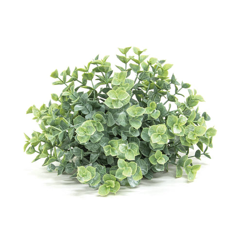 Dusty Mini Eucalyptus Half Sphere - 7.5