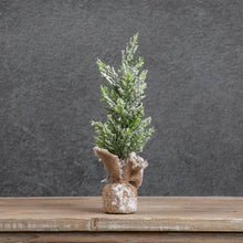 14" SNOWY PENCIL TREE W/BURLAP BASE