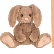 Bubba the Brown Bunny