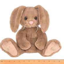 Bubba the Brown Bunny