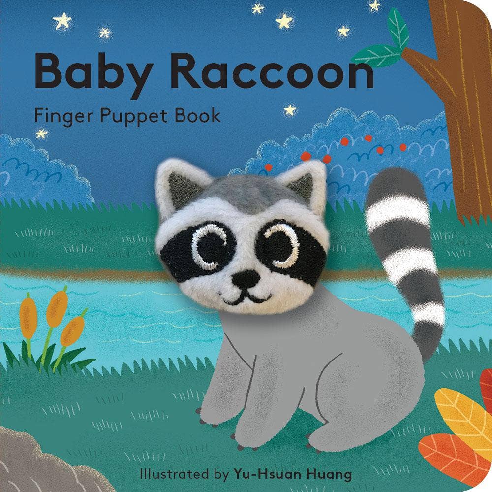 Baby Raccoon