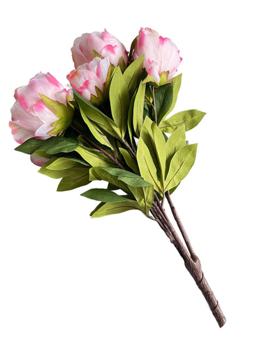 Pink Garden Peony Bush X8, 20.87