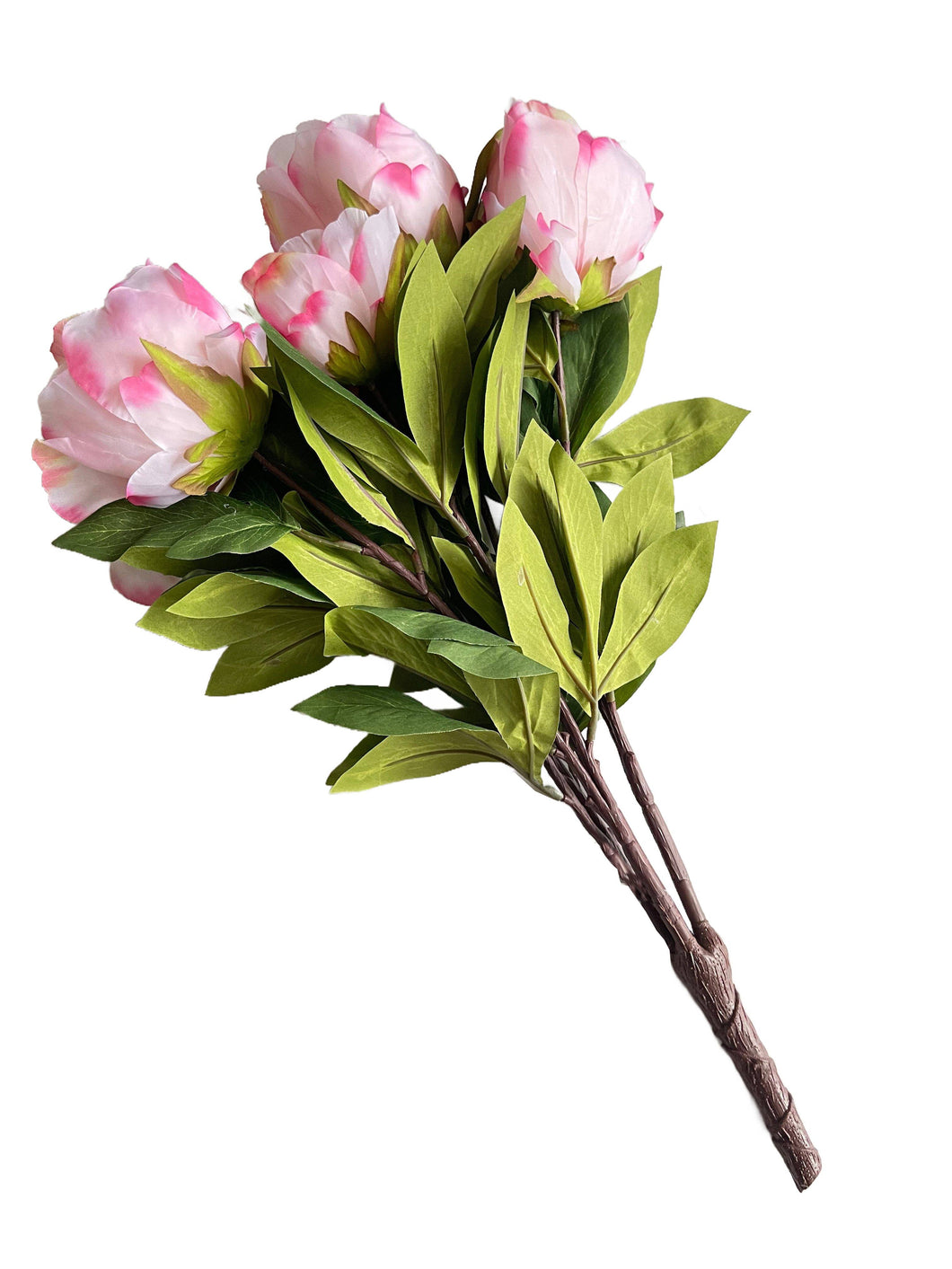 Pink Garden Peony Bush X8, 20.87