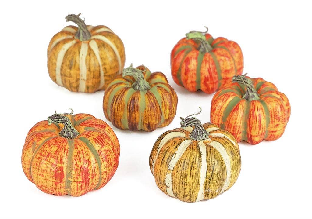 Mixed Pumpkin Gourds