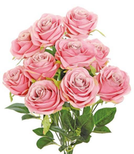 Bridal Rose Bush X9, 18", Dark Pink