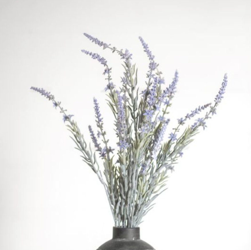 Purple Lavender Bush