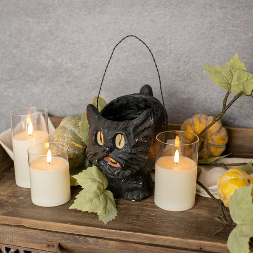 Black Cat Bucket