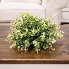 Cream Tipped Baby's Grass Half Sphere