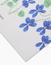 Violets Not Paper Towel