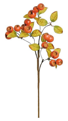 Crater Berry Pick, 17