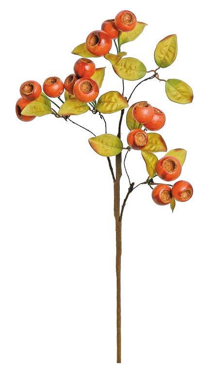Crater Berry Pick, 17