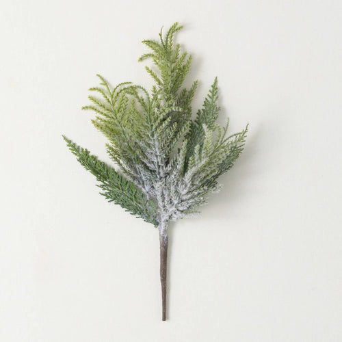NORFOLK ISLAND CEDAR PICK