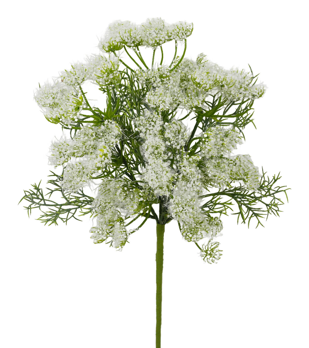 Queen Anne's Lace Spray