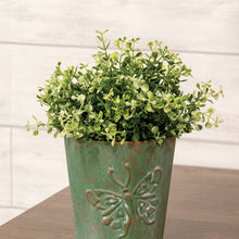 Cream Tipped Baby's Grass Half Sphere