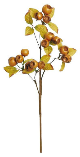 Crater Berry Pick, 17