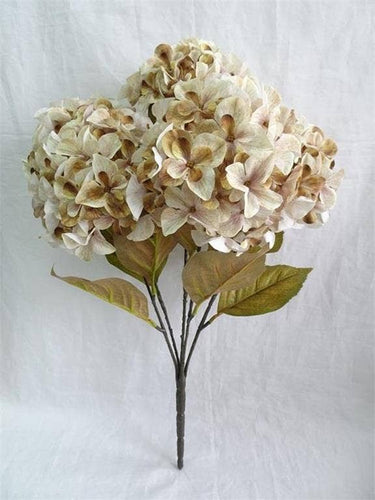 Harvest Hydrangea Bush X5 22.5