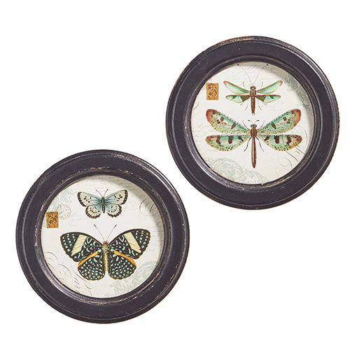 Insect Wall Art