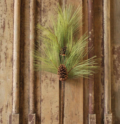 Long Needle Pine Pick 30